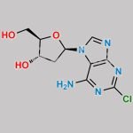 Cladribine Impurity 1 CAS#: 172792-37-9