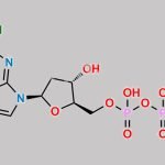 Cladribine Impurity 4 CAS#: 106867-30-5