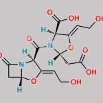 Clavulanate Potassium EP Impurity E CAS#: 1260617-10-4