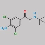 Clenbuterol EP Impurity B CAS#: 69708-36-7