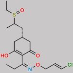 Clethodim Sulfoxide CAS#: 111031-14-2