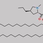 Clindamycin 2,3-Dipalmitate CAS#: N/A