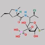 Clindamycin B 3-phosphate CAS#: N/A