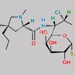 Clindamycin EP Impurity C CAS#: 16684-06-3