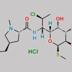 Clindamycin Hydrochloride CAS#: 21462-39-5