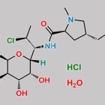 Clindamycin Hydrochloride Hydrate CAS#: 58207-19-5