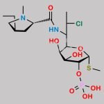 Clindamycin Impurity 1 CAS#: N/A