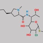 Clindamycin Impurity 10 CAS#: N/A