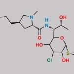 Clindamycin Impurity 11 CAS#: N/A