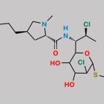 Clindamycin Impurity 12 CAS#: N/A