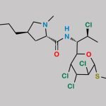 Clindamycin Impurity 13 CAS#: N/A