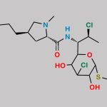 Clindamycin Impurity 14 CAS#: N/A