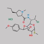 Clindamycin Impurity 17 CAS#: N/A