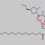 Clindamycin Impurity 19 CAS#: N/A
