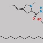 Clindamycin Impurity 2 CAS#: N/A