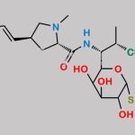 Clindamycin Impurity 21 CAS#: N/A
