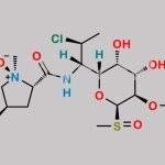 Clindamycin Impurity 22 CAS#: N/A