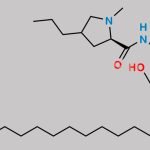 Clindamycin Impurity 3 CAS#: N/A