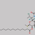 Clindamycin Impurity 9 CAS#: 906126-31-6