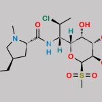 Clindamycin Impurity (Sulfone) CAS#: 887402-22-4