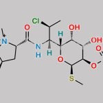 Clindamycin N-Oxide CAS#: N/A