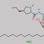 Clindamycin Palmitate Hydrochloride CAS#: 25507-04-4