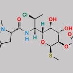 Clindamycin  Phosphate CAS#: 24729-96-2
