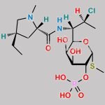 Clindamycin Phosphate EP Impurity B CAS#: 54887-31-9