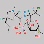 Clindamycin Phosphate EP Impurity D CAS#: N/A