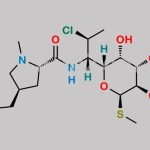 Clindamycin Phosphate EP Impurity E CAS#: 18323-44-9