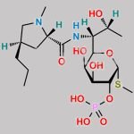 Clindamycin Phosphate EP Impurity F CAS#: 1228573-93-0
