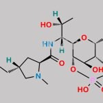 Clindamycin Phosphate EP Impurity G CAS#: N/A
