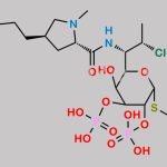 Clindamycin Phosphate EP Impurity H CAS#: N/A
