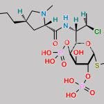 Clindamycin Phosphate EP Impurity I CAS#: N/A