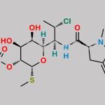 Clindamycin Phosphate EP Impurity J CAS#: 1309349-64-1