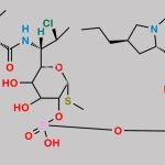 Clindamycin Phosphate EP Impurity K CAS#: N/A