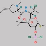 Clindamycin Phosphate Impurity 1 CAS#: 648910-17-2
