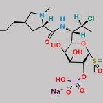 Clindamycin Phosphate Impurity 10 CAS#: N/A