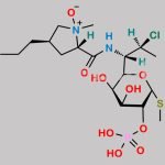 Clindamycin Phosphate Impurity 11 CAS#: N/A