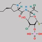 Clindamycin Phosphate Impurity 2 CAS#: N/A