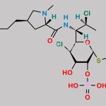 Clindamycin Phosphate Impurity 3 CAS#: N/A