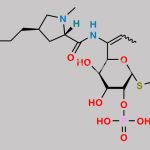 Clindamycin Phosphate Impurity 4 CAS#: N/A