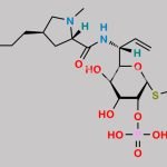 Clindamycin Phosphate Impurity 5 CAS#: N/A