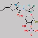 Clindamycin Phosphate Impurity 6 CAS#: N/A