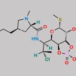 Clindamycin Phosphate Impurity 7 CAS#: N/A