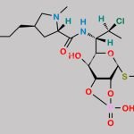 Clindamycin Phosphate Impurity 8 CAS#: N/A
