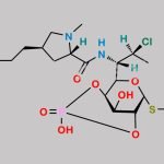 Clindamycin Phosphate Impurity 9 CAS#: N/A