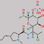Clindamycin phosphate Sulfoxide Isomer-A CAS#: 887402-21-3
