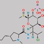 Clindamycin phosphate Sulfoxide Isomer-B CAS#: 887402-20-2