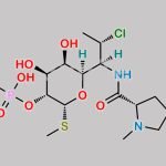 Clindamycin Pyrophosphate CAS#: N/A